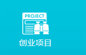 创业项目